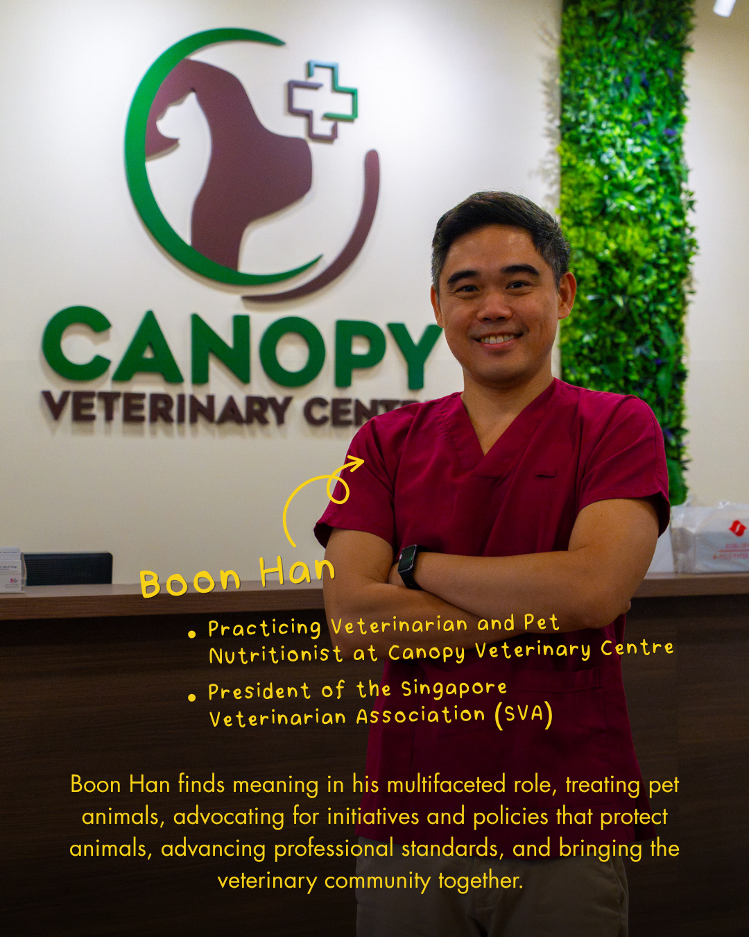 Free microchipping and licensing drives for pet cats