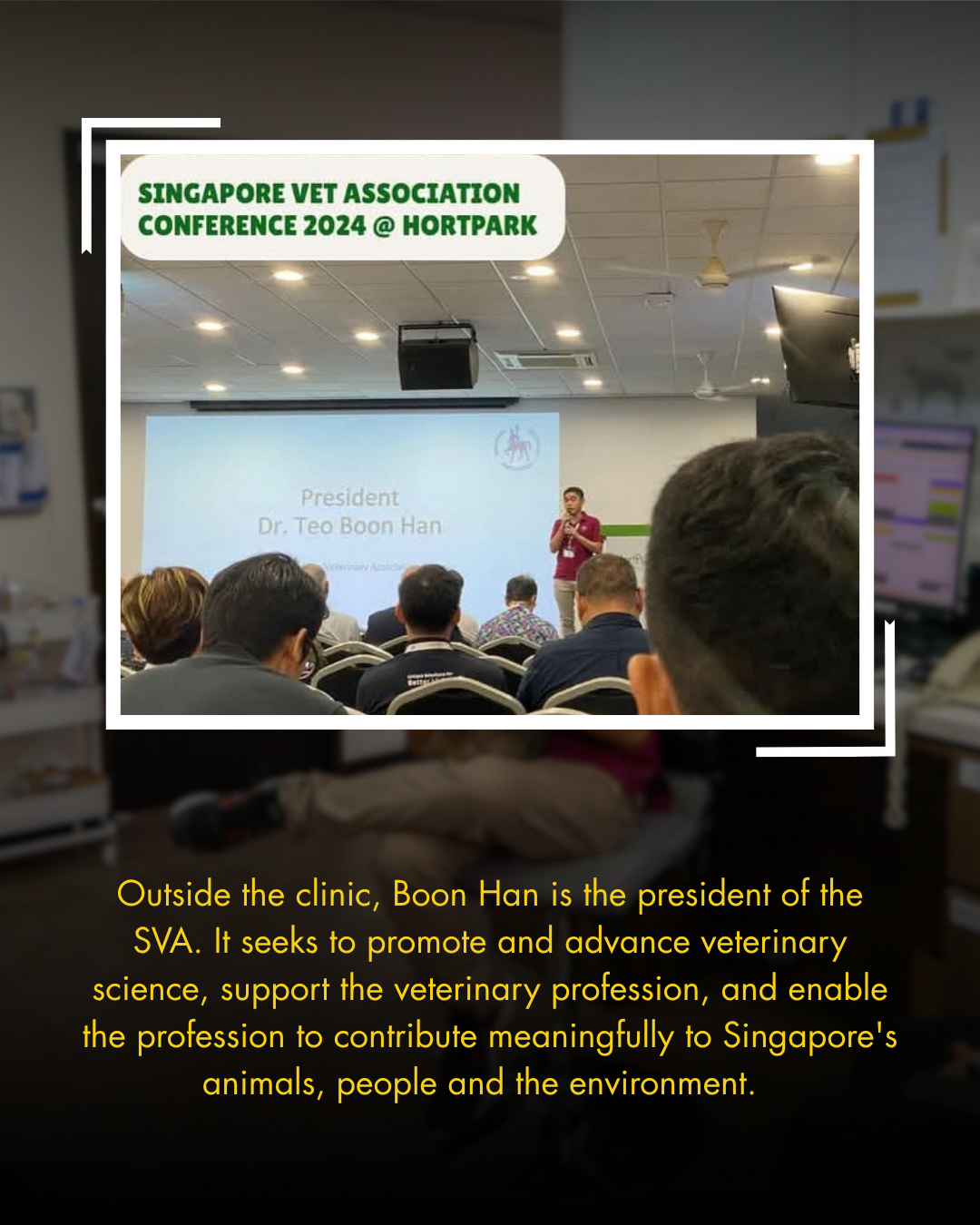 Veterinary industry growth and professional development