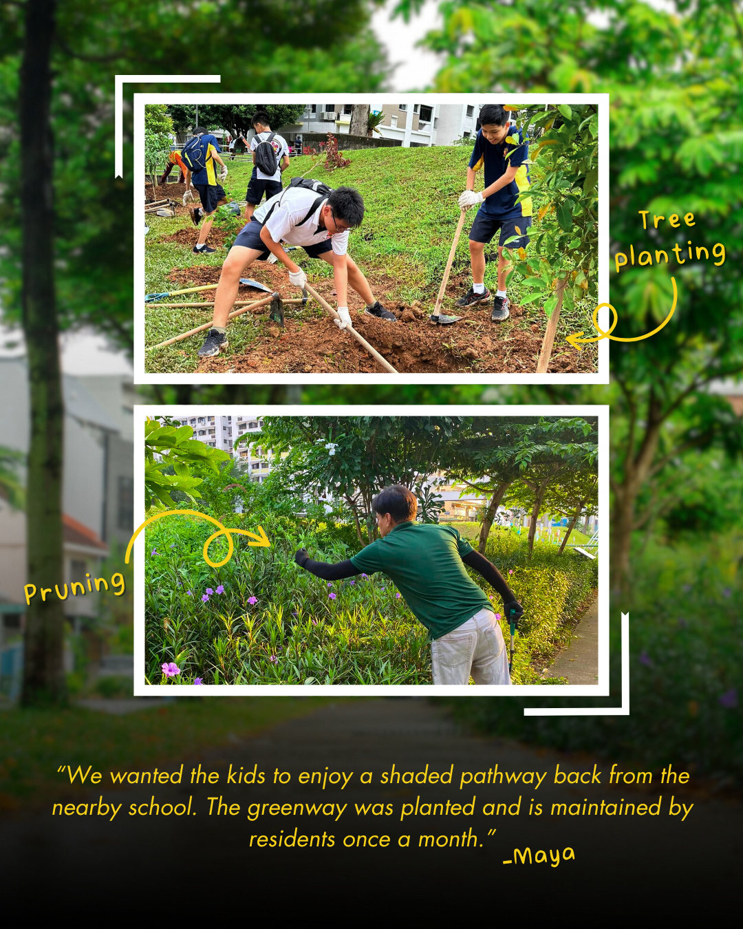 Green spaces development and community engagement