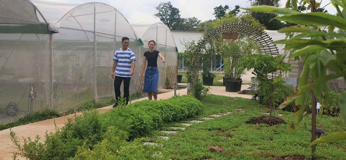 Urban farm scene with people walking on stepping stones