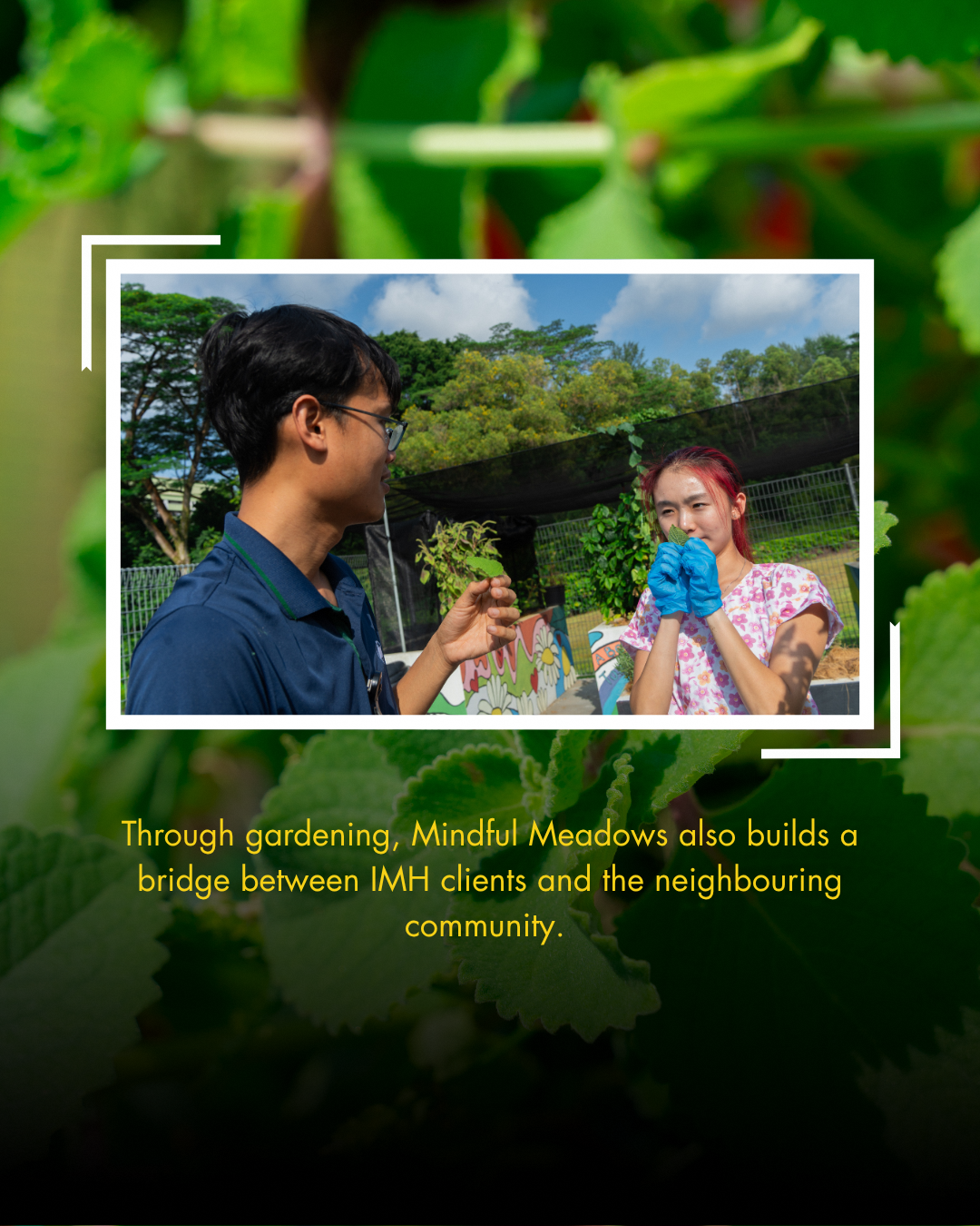 Community engagement through therapeutic gardening programmes