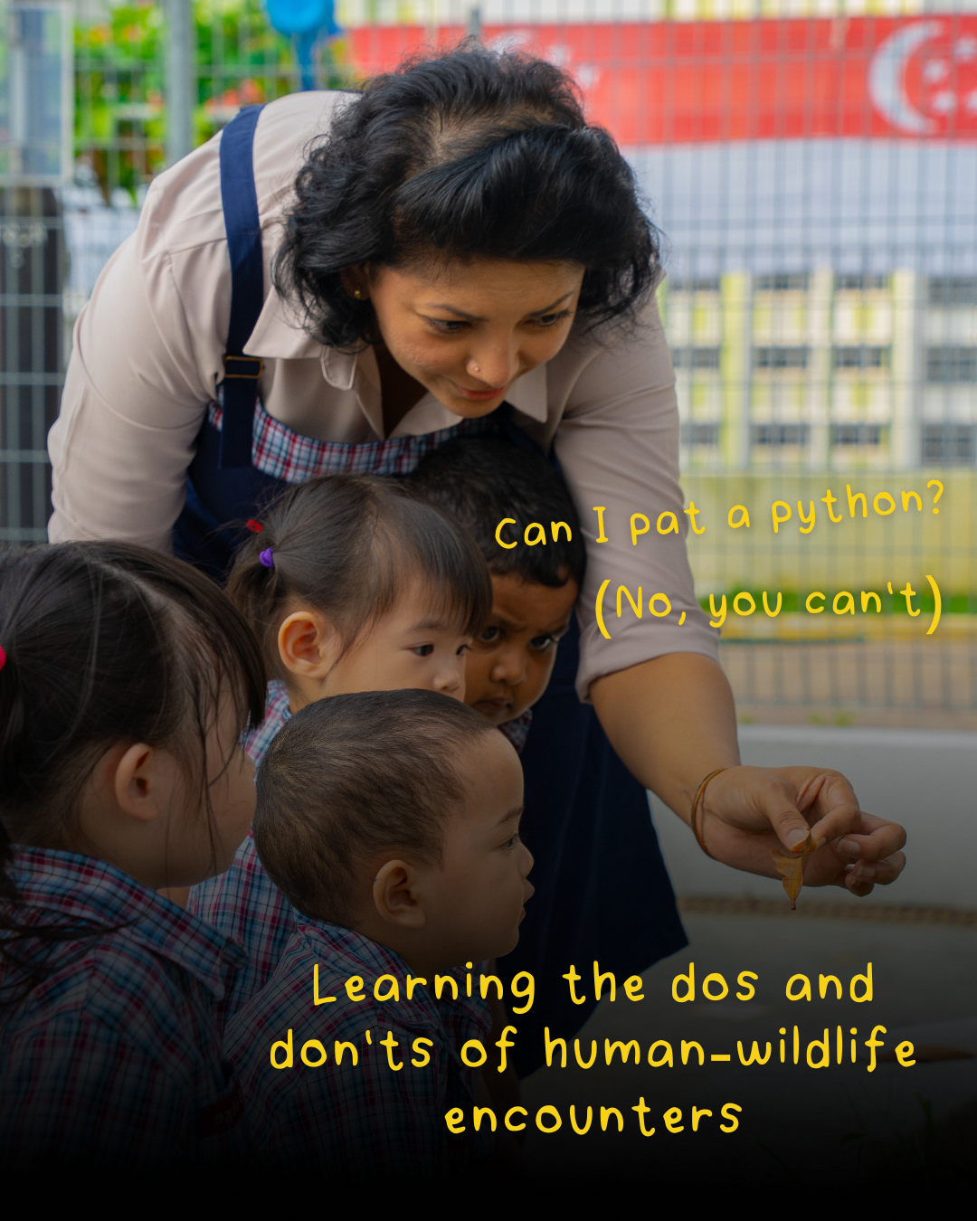 Preschool children learning about urban wildlife through educational activities