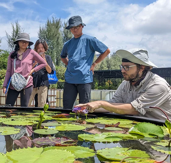 Danny Cox sharing knowledge on water lilies