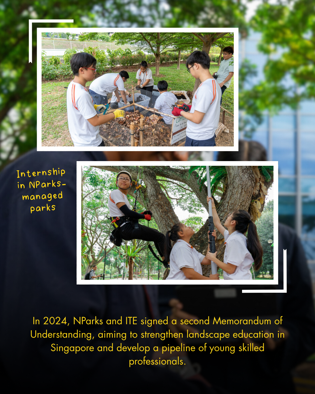 Student-led park programmes and real-world conservation projects