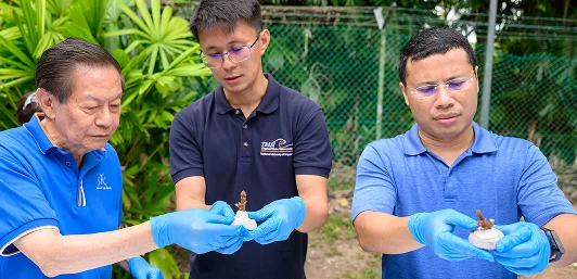 Professor Emeritus Leo Tan, Mr Lionel Ng, and Minister Desmond Lee at a coral planting activity
