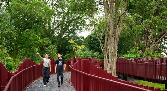 Keppel Coastal Trail boardwalk through forest