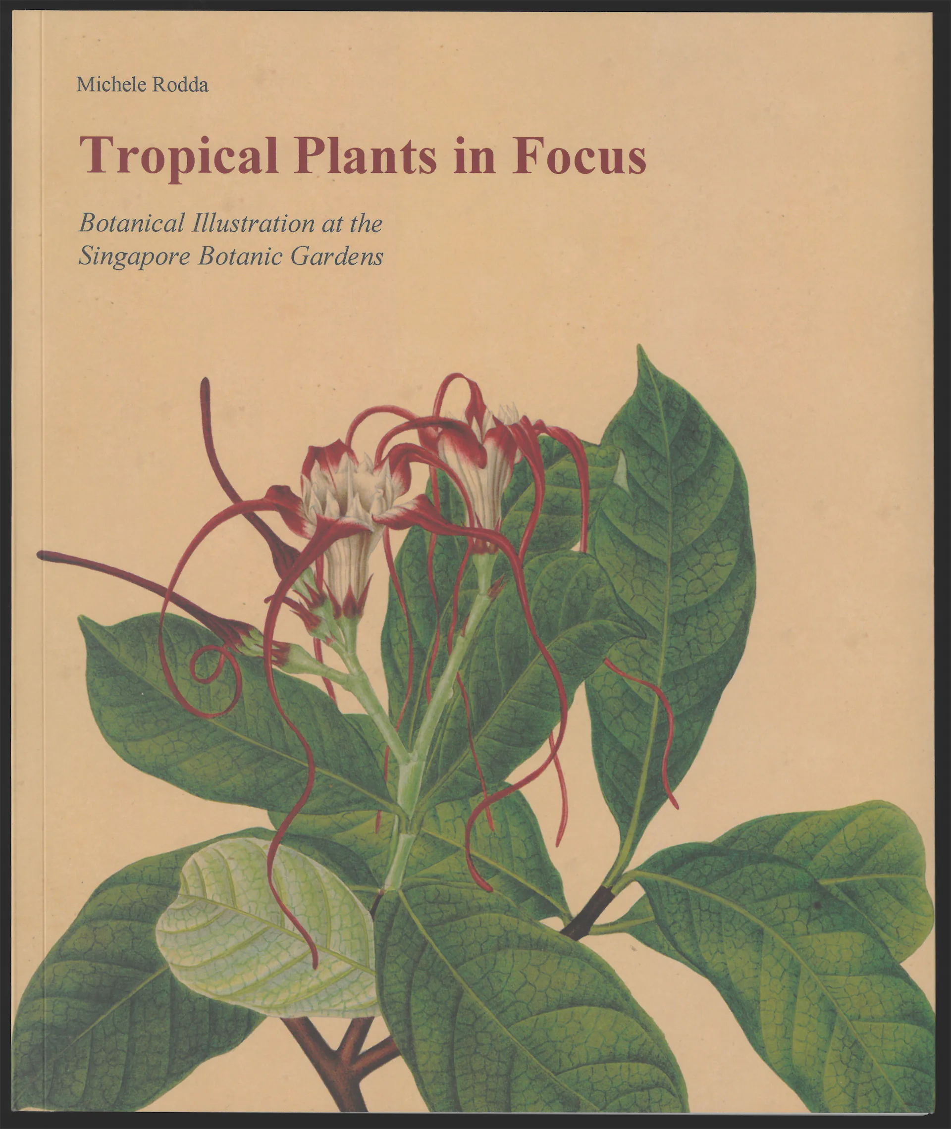 Tropical Plants in Focus