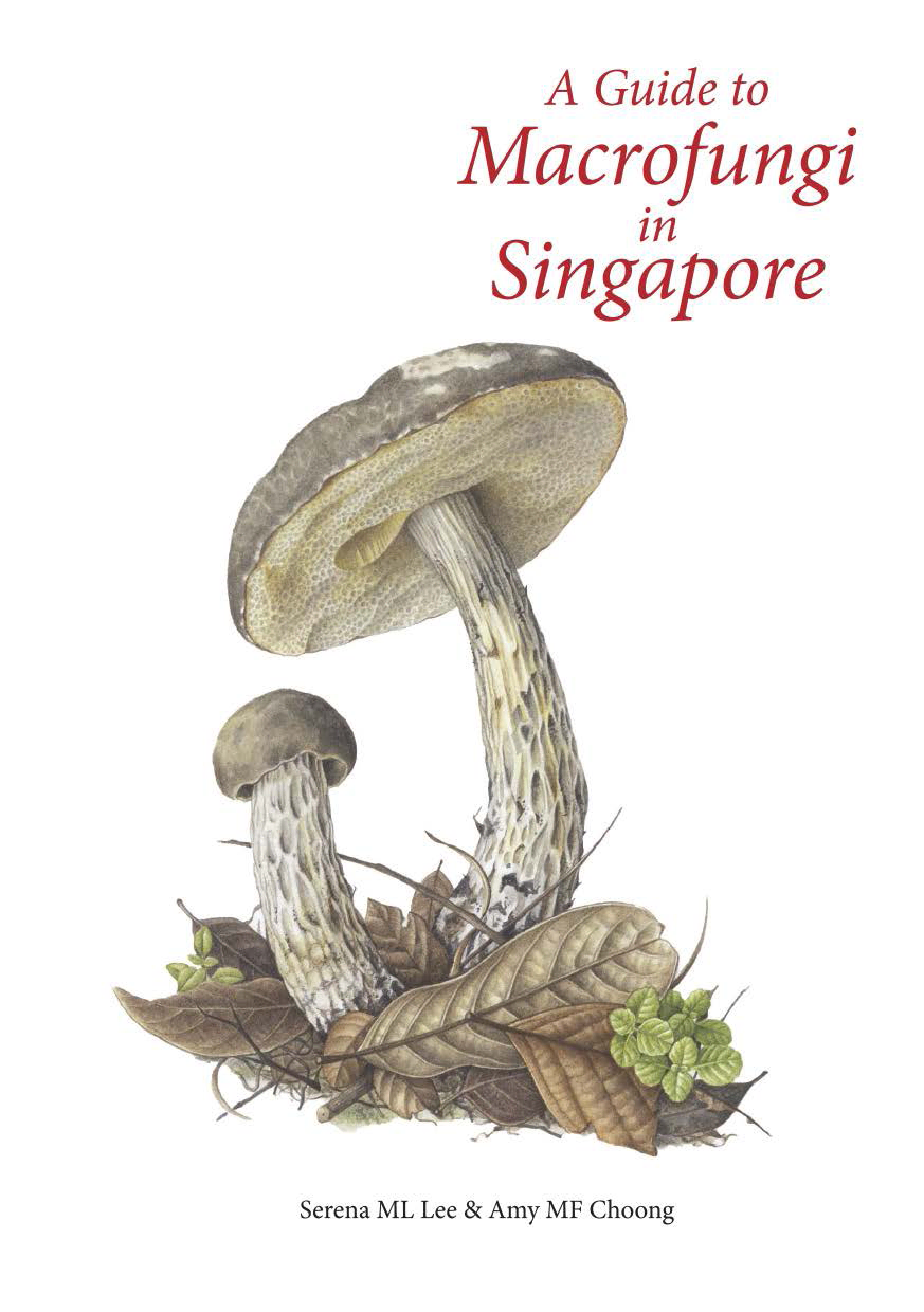 A Guide to Macrofungi in Singapore