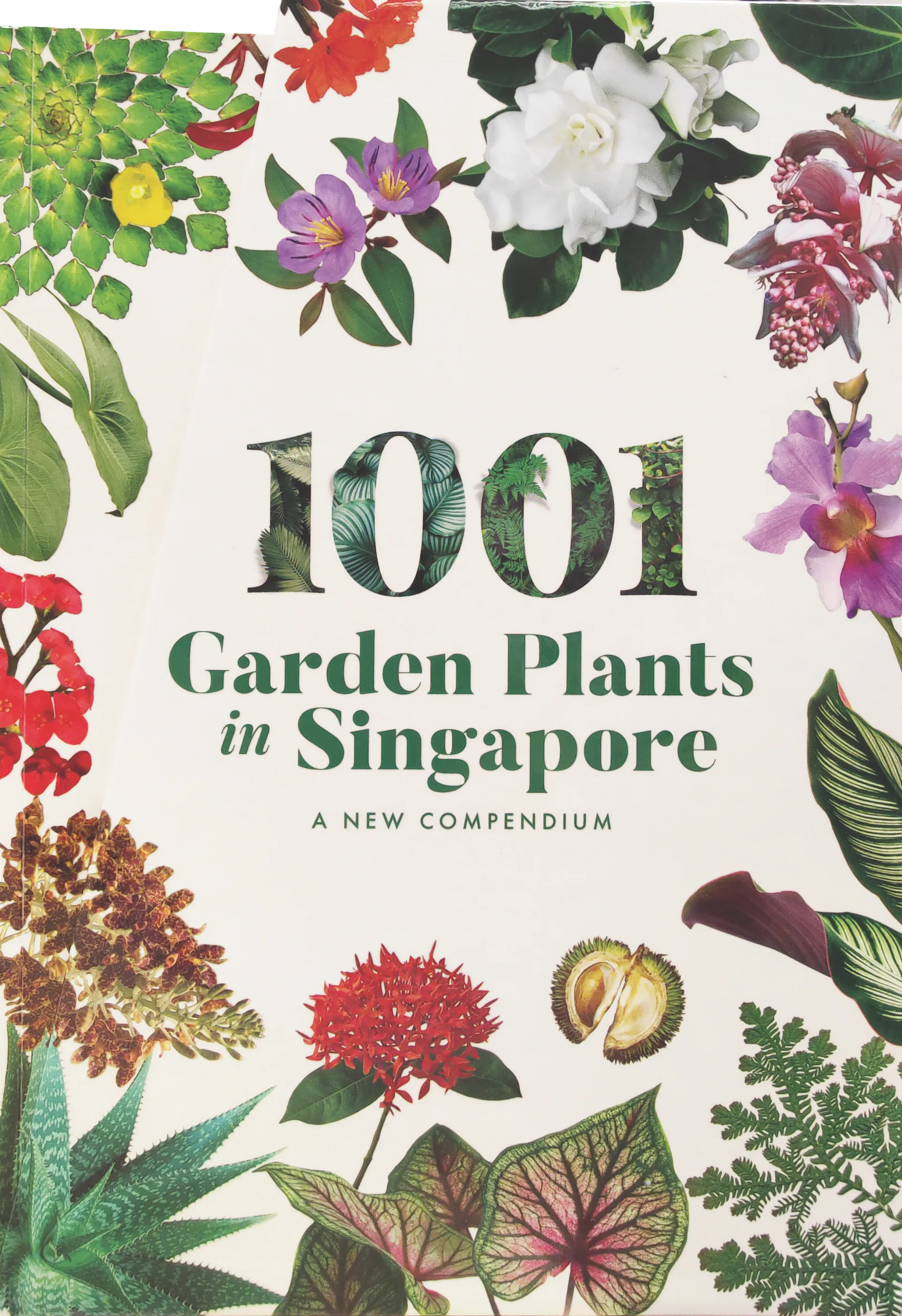 1001 Garden Plants in Singapore
